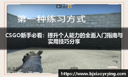 CSGO新手必看：提升个人能力的全面入门指南与实用技巧分享